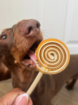 Dog enjoying a swirl treat