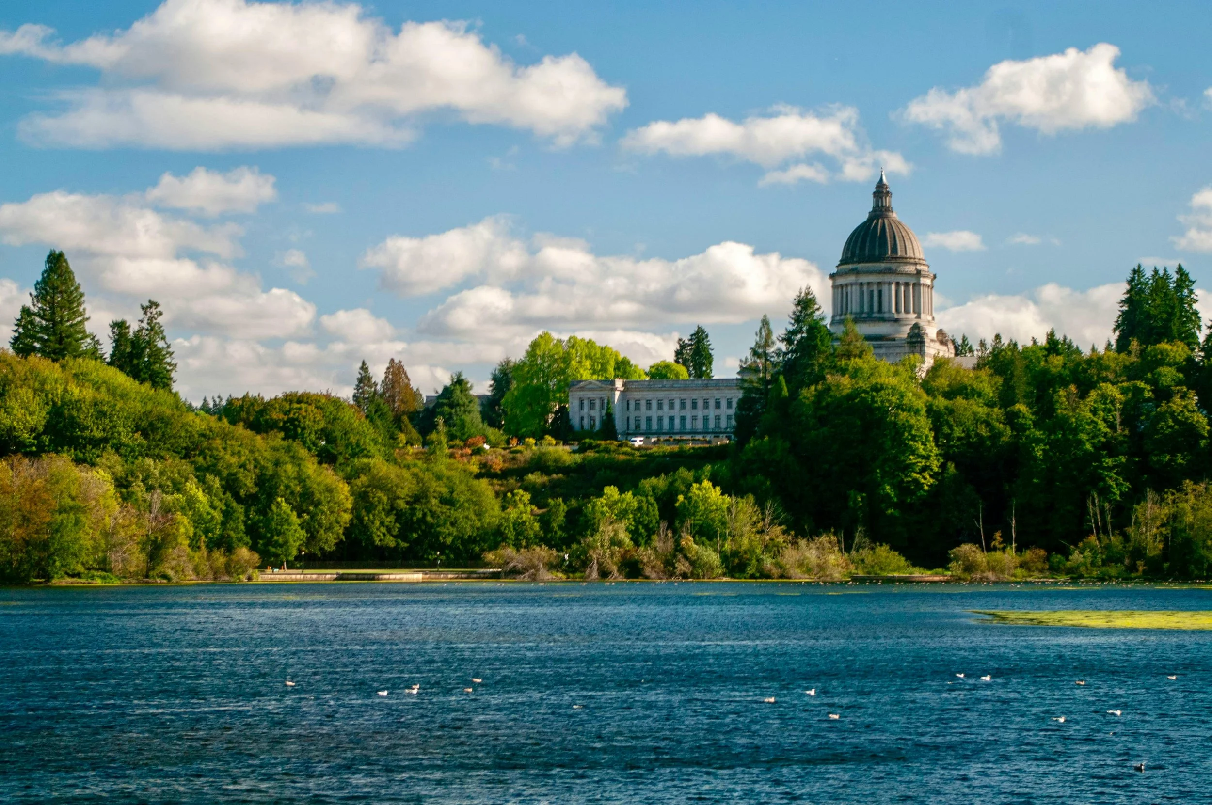 Olympia WA waterfront and Capitol Lake