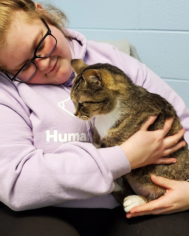 Cat and Dog Animal Shelter