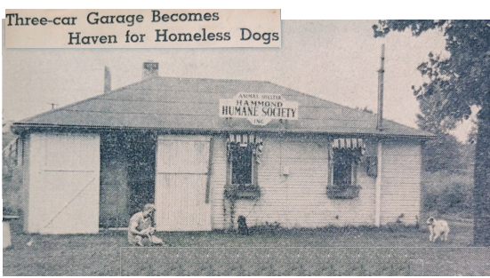 Humane Society 3 car garagehaven for homeless dogs