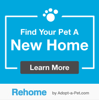 Rehome Program