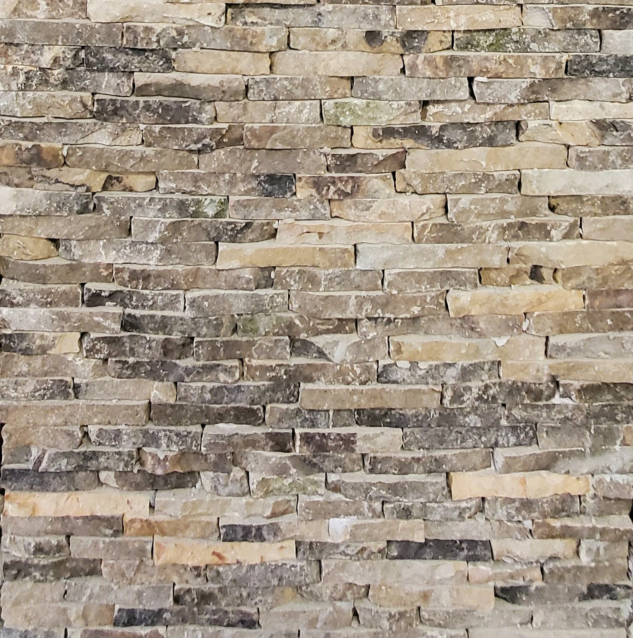 Vista 1