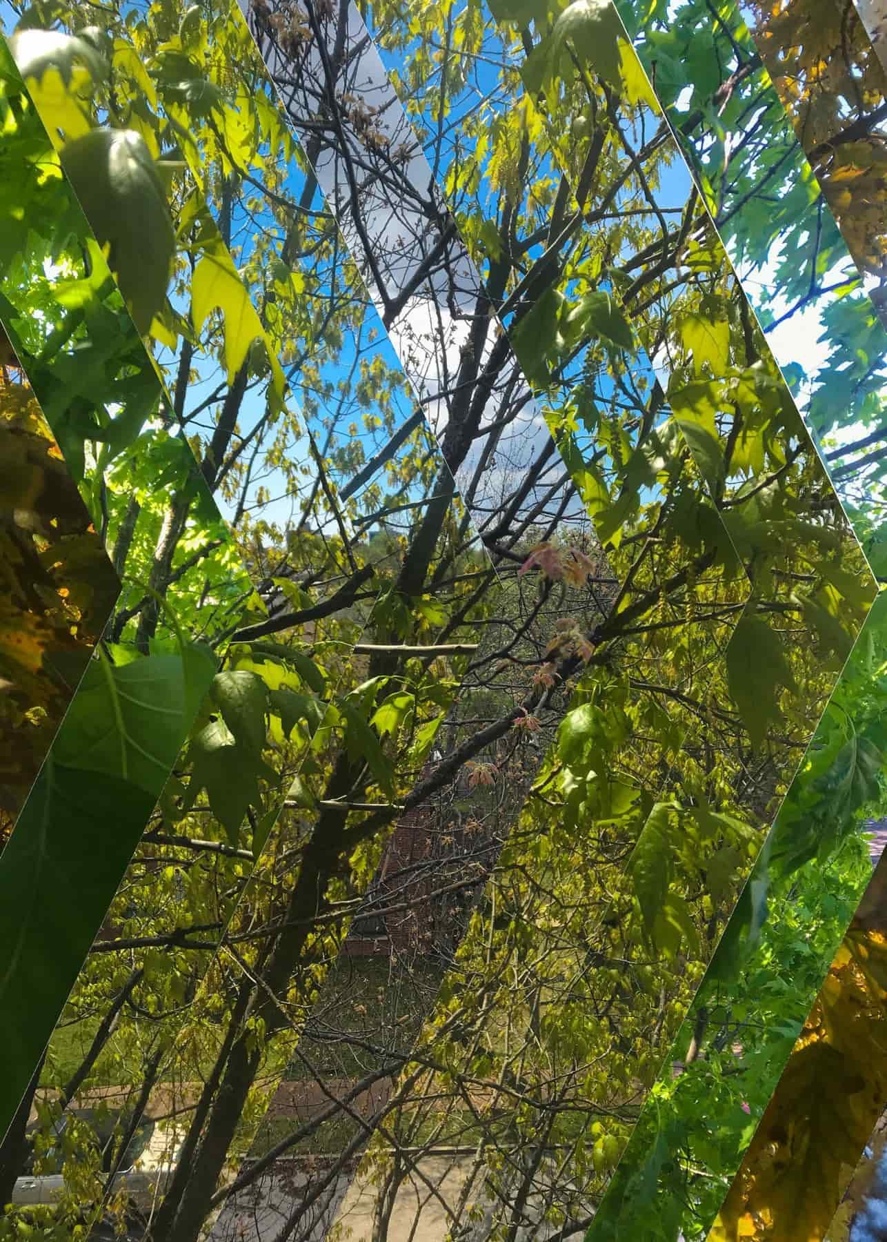 Interesting Things collection cover