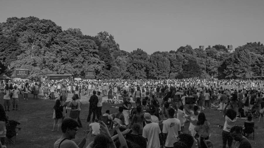 Wide Prospect Park gathering during BK Loves MJ
