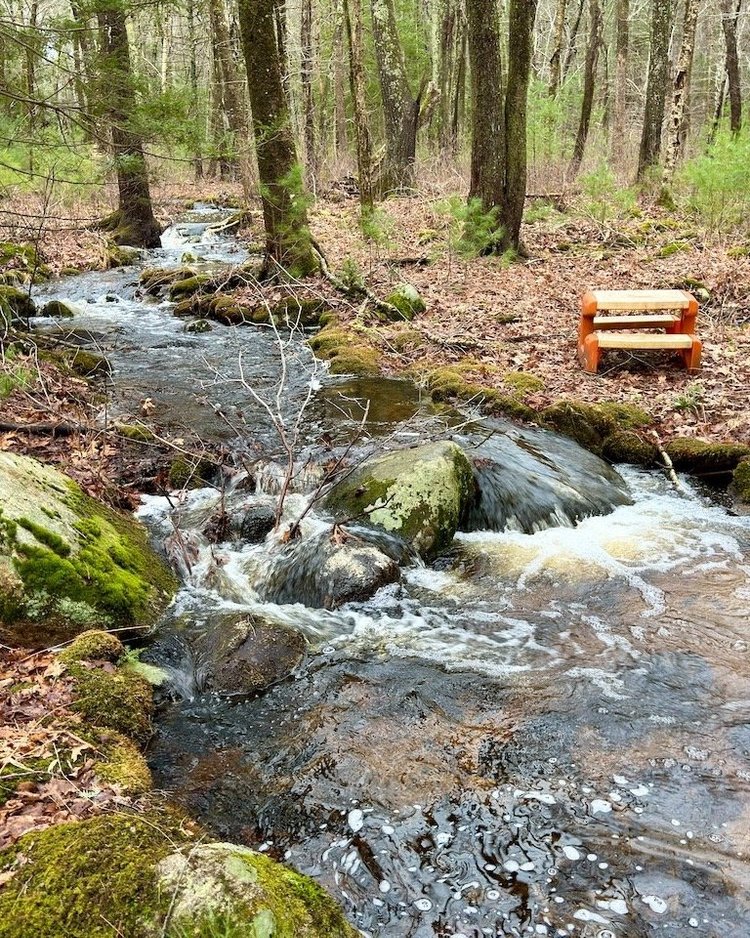 A peaceful woodland creek with mossy rocks, a small orange bench, and a crate beside flowing water—an early spring scene on private forest land.