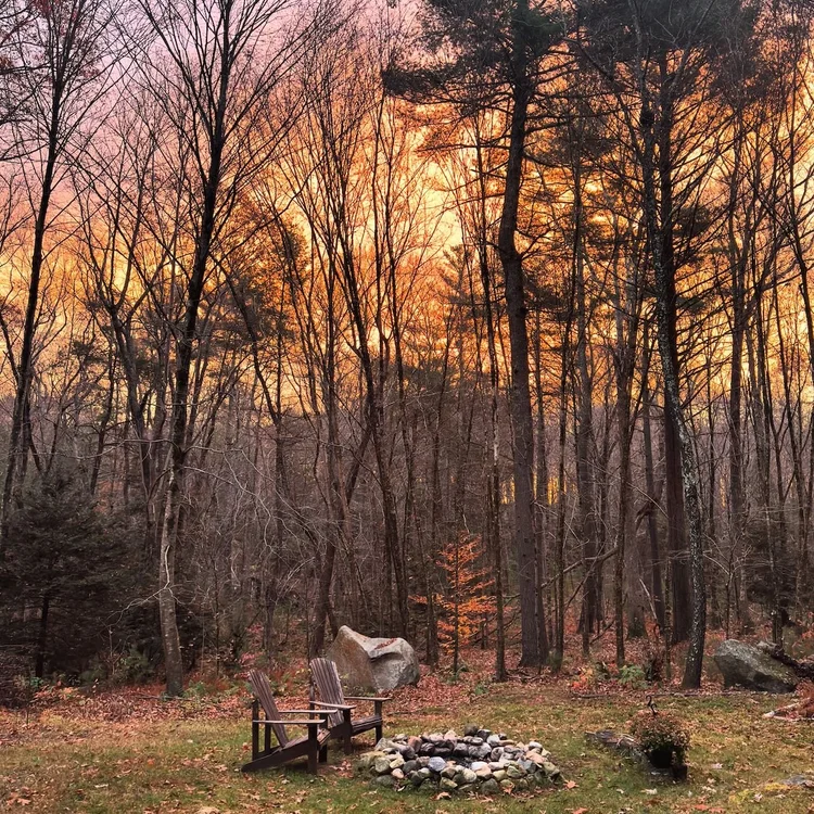 A quiet backyard firepit with Adirondack chairs at sunrise, surrounded by bare trees and a warm, glowing sky.
