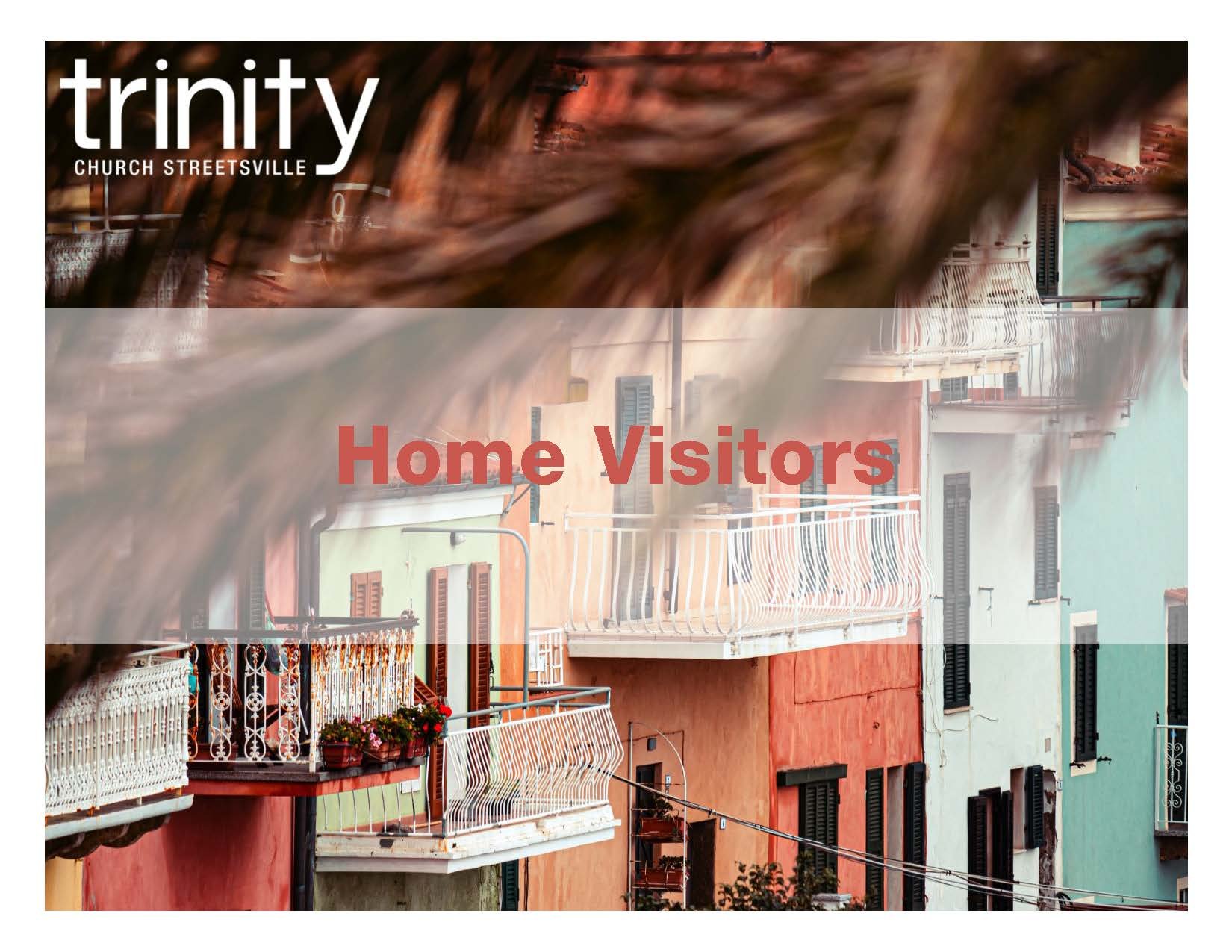 Home Visitors Icon