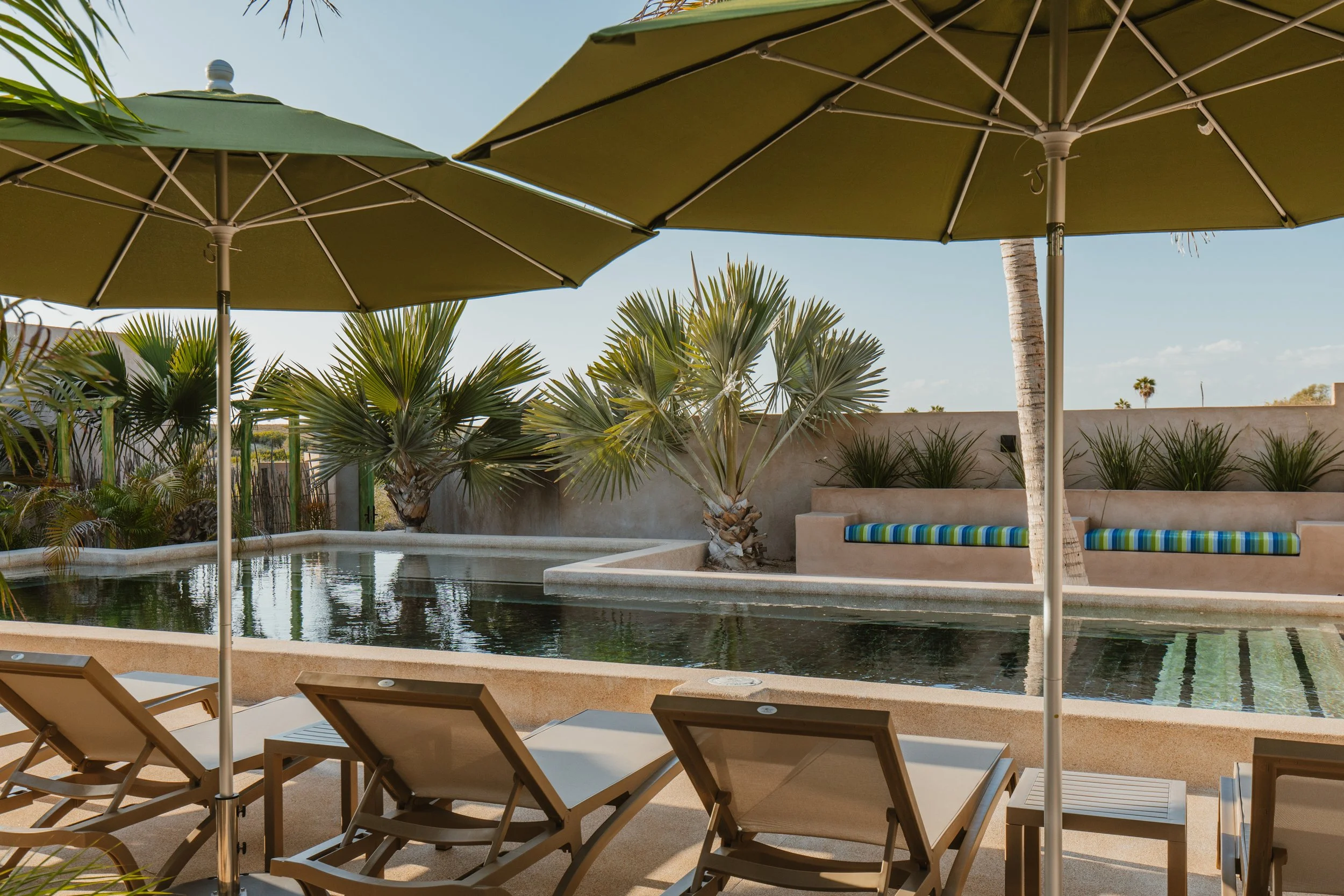 Luxury Vacation Rentals in Todos Santos, Pescadero and Cerritos Beach