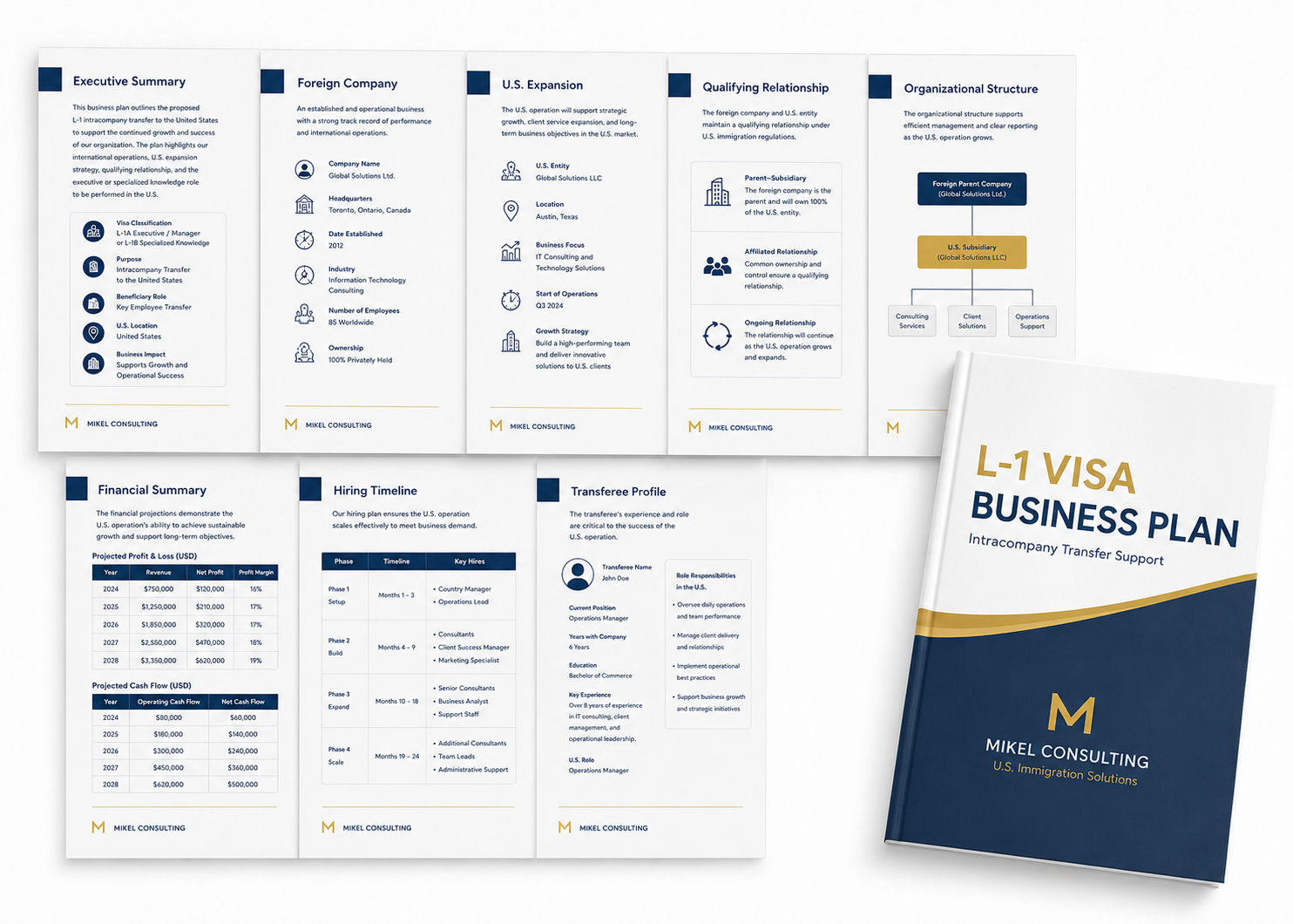 Sample L-1 visa business plan showing foreign company operations, U.S. expansion, qualifying relationship, organizational structure, and financial projections