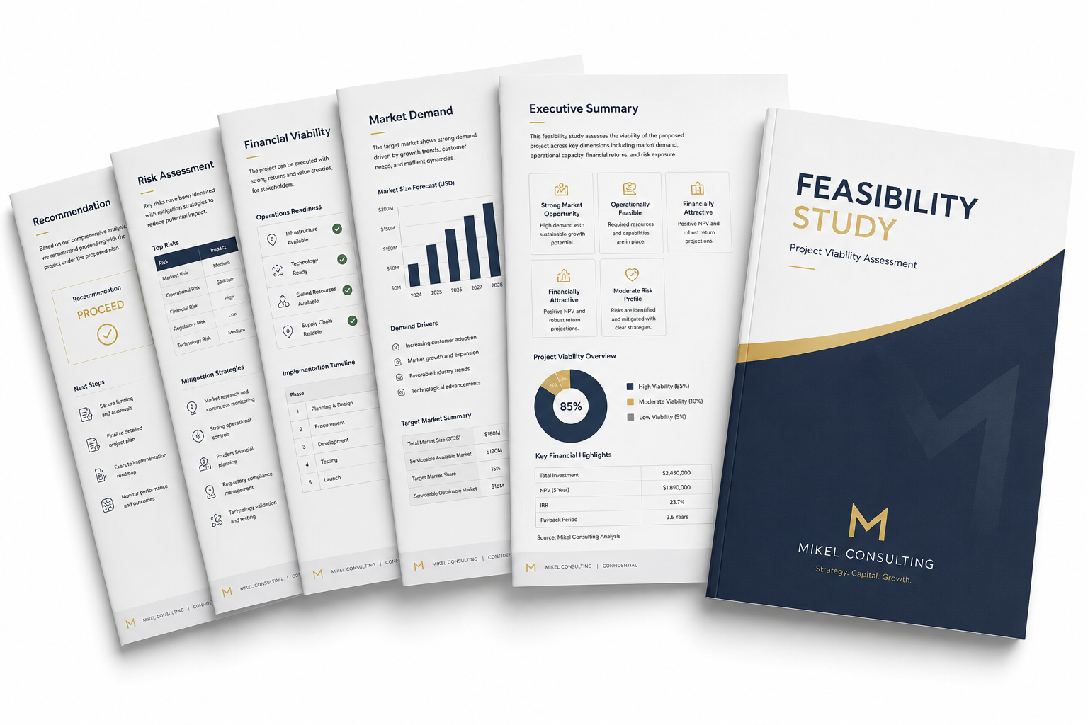 Sample feasibility study layout with market analysis, financial projections, operational review, risk assessment, and project recommendation