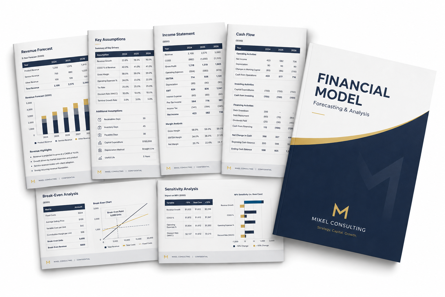 Sample financial model showing Excel assumptions, revenue forecast, expenses, cash flow, financial statements, and scenario analysis
