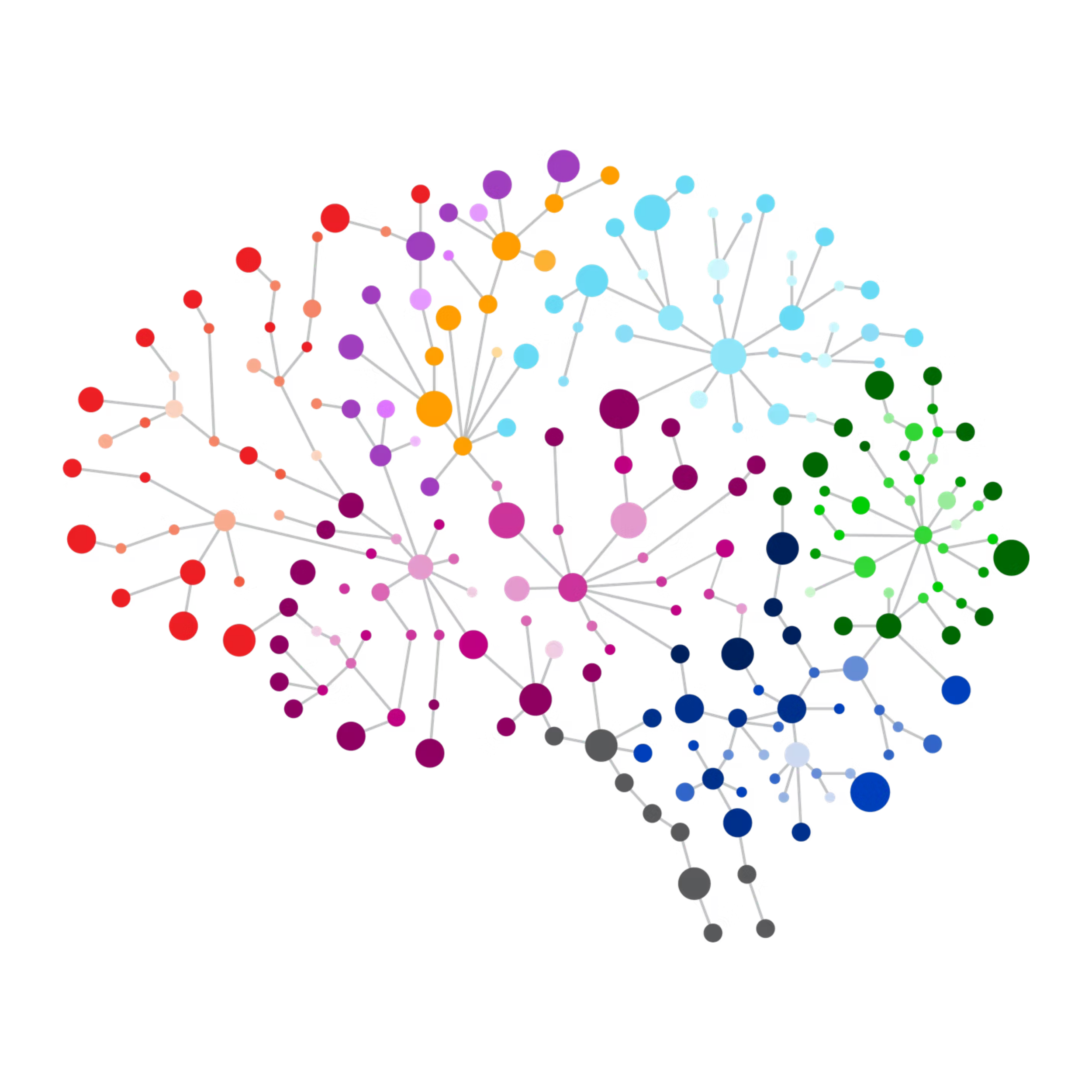 Neurons