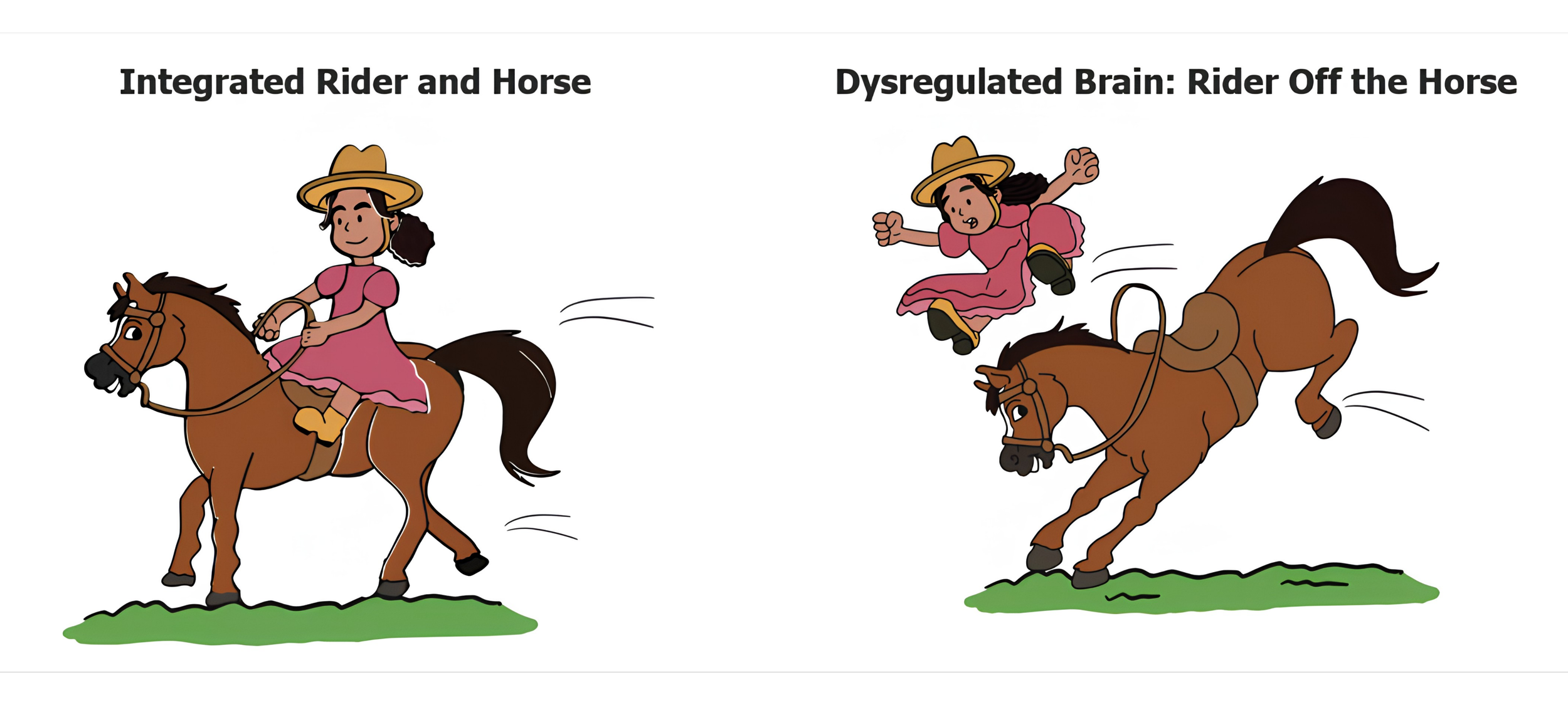 Figure 1.4 Rider and Horse Metaphor