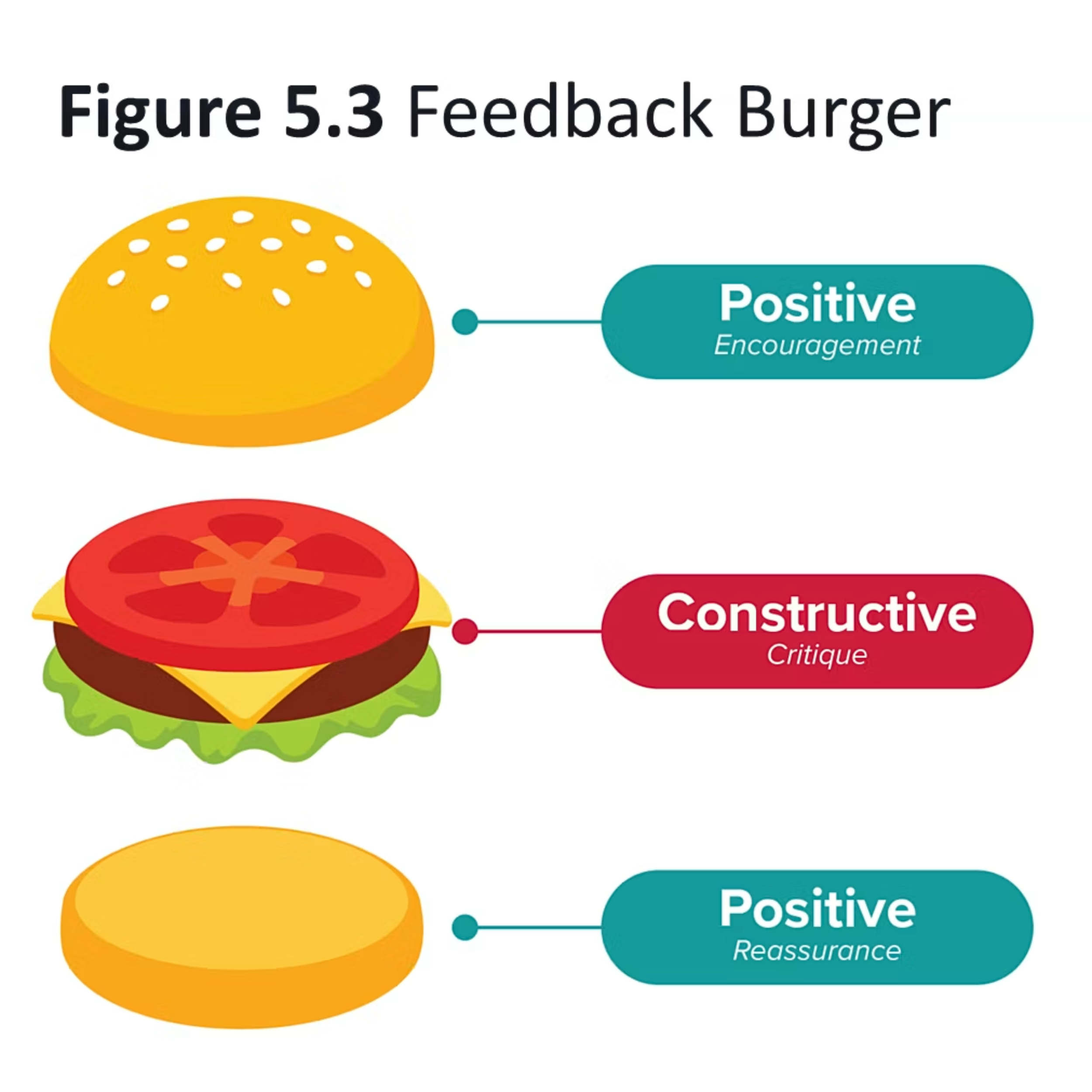 Figure 5.3 Feedback Burger