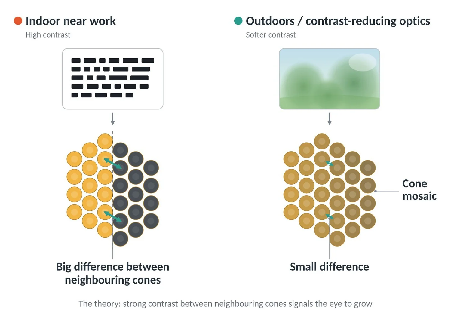 High-contrast text creates big differences between neighbouring cones; softer outdoor scenes create small differences.