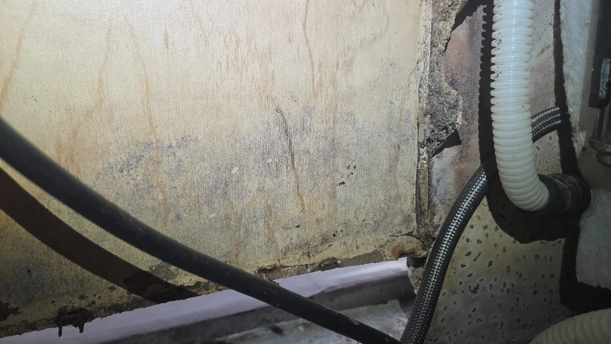 Kitchen cabinet interior condition documented in Pembroke Pines