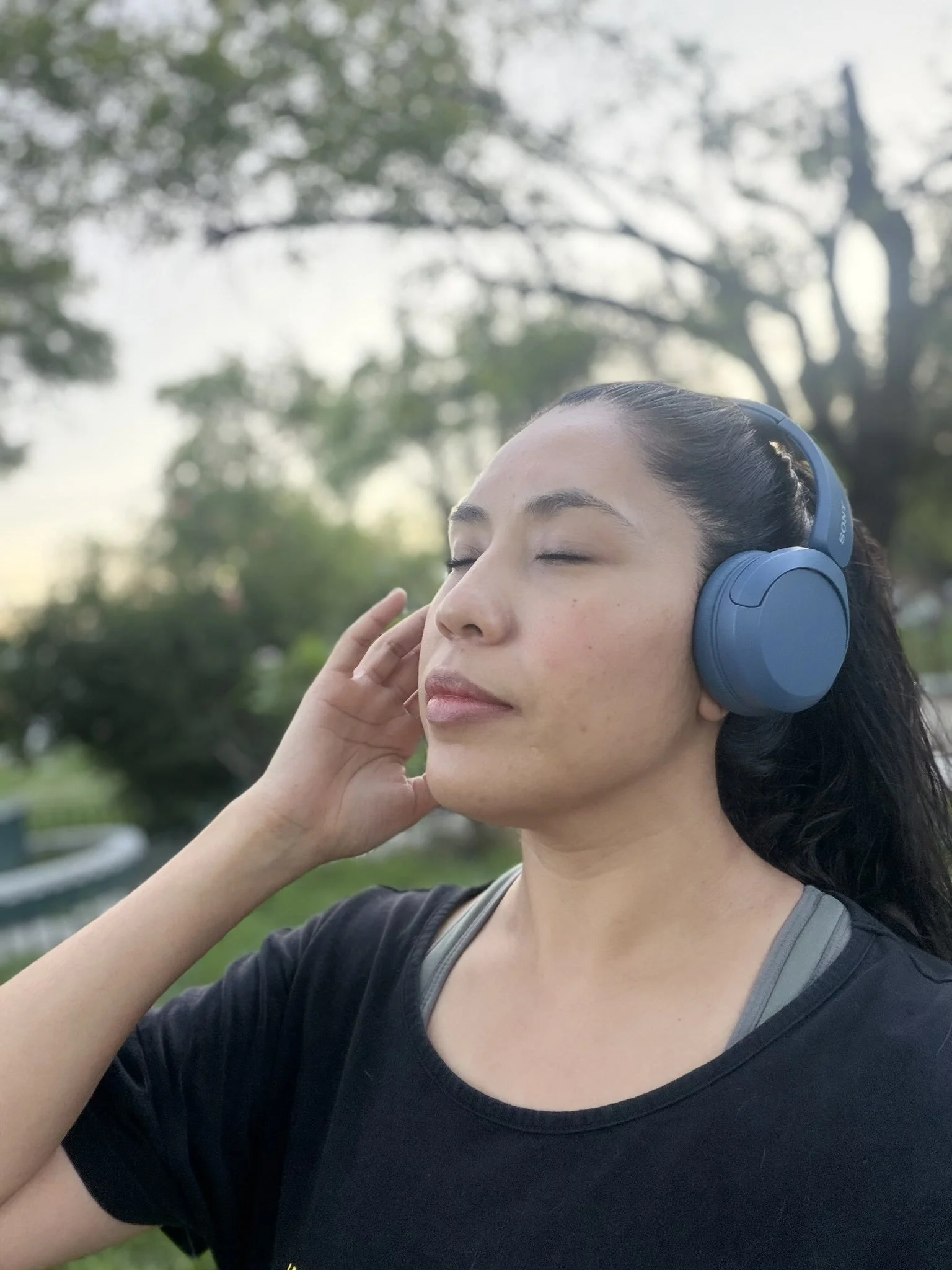 Guided Meditations