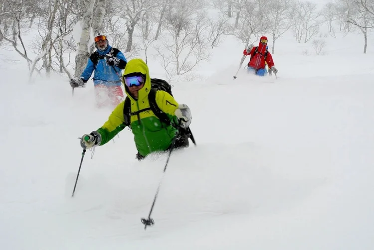 Skiers enjoying powder among snow-covered trees in Japan