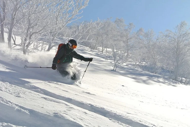 A skier carving fresh snow on a sunny slope in Japan