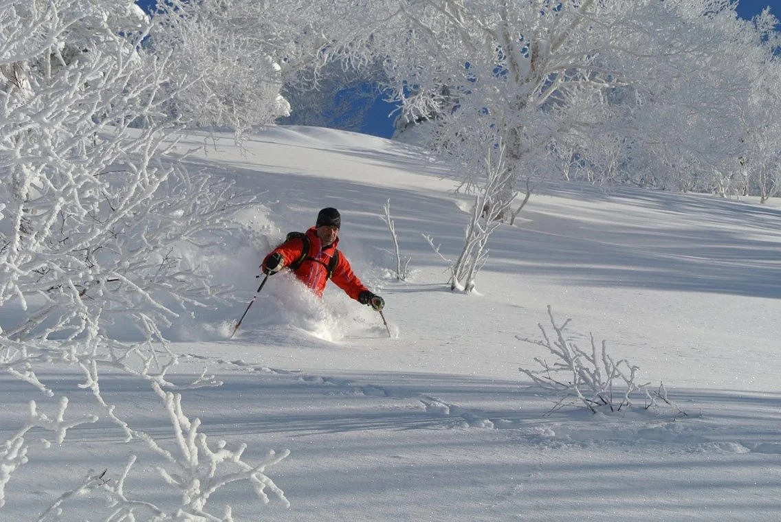 Powder skiing through snow-covered trees in Japan