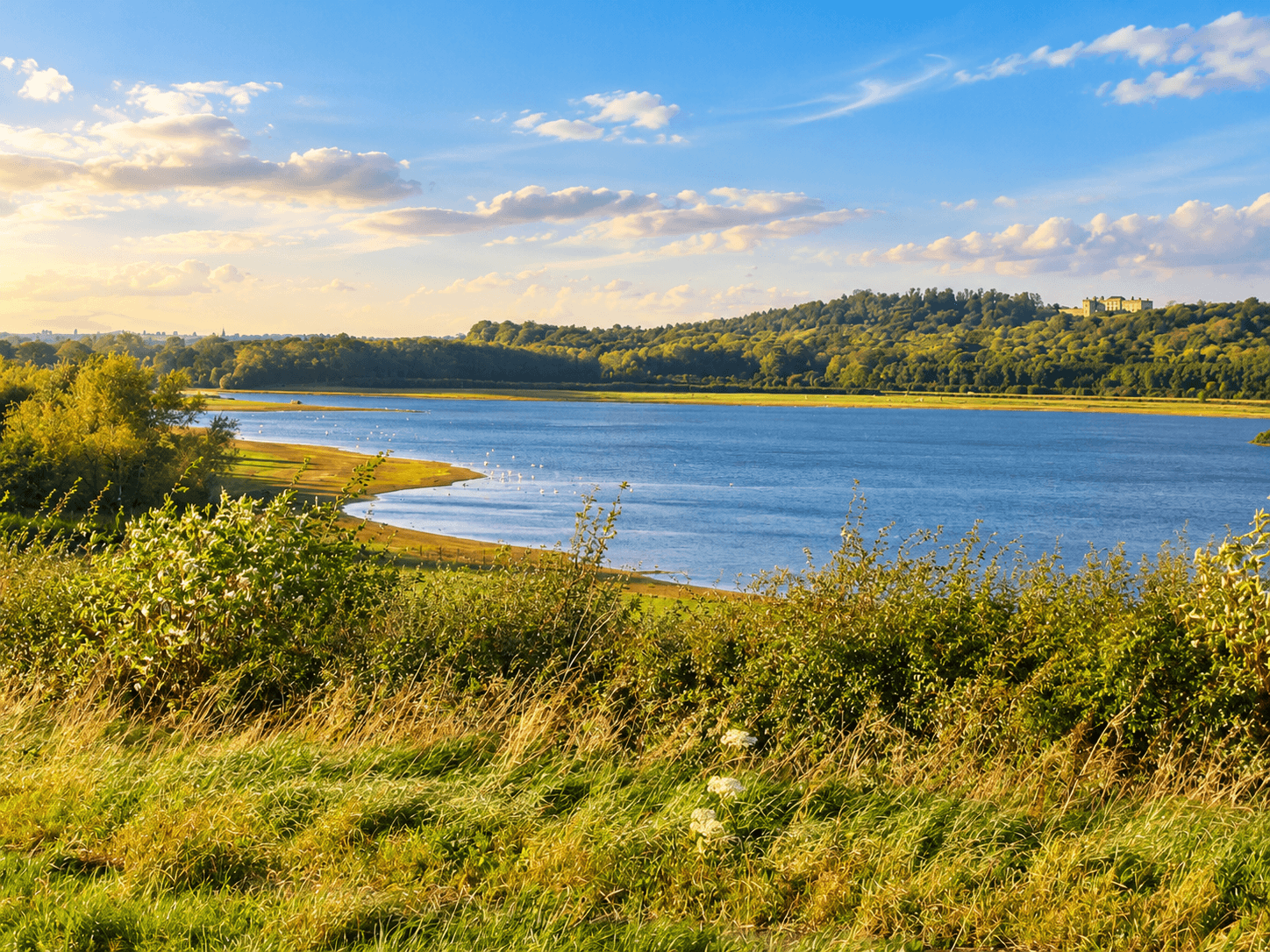 Rutland Water and surrounding countryside