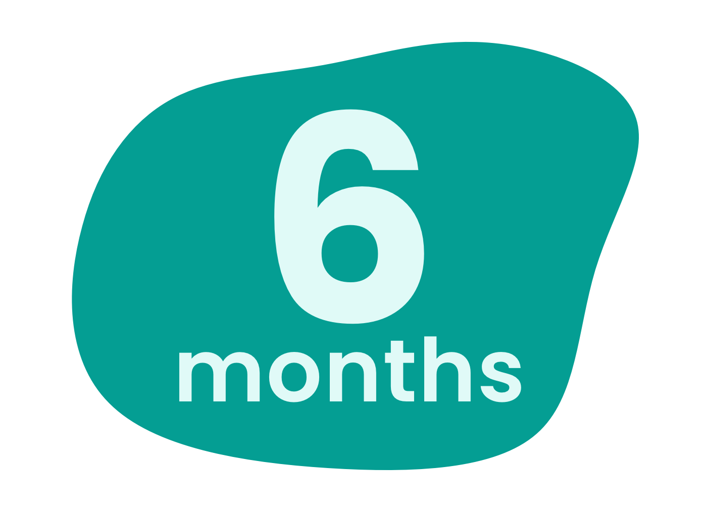 6 months badge