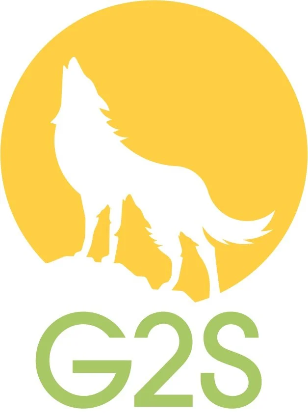 G2S Academy Logo