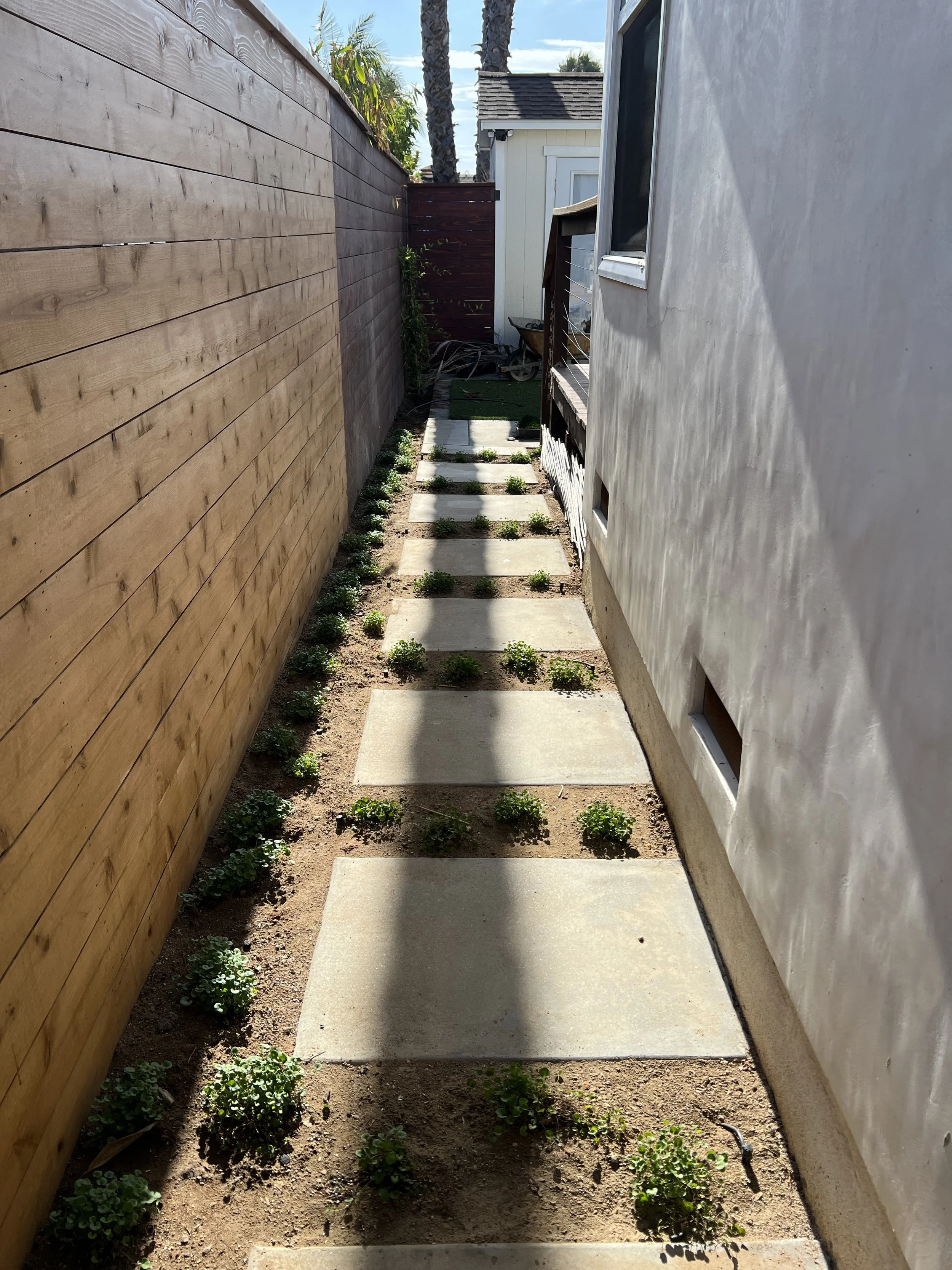Modern Wood Fencing