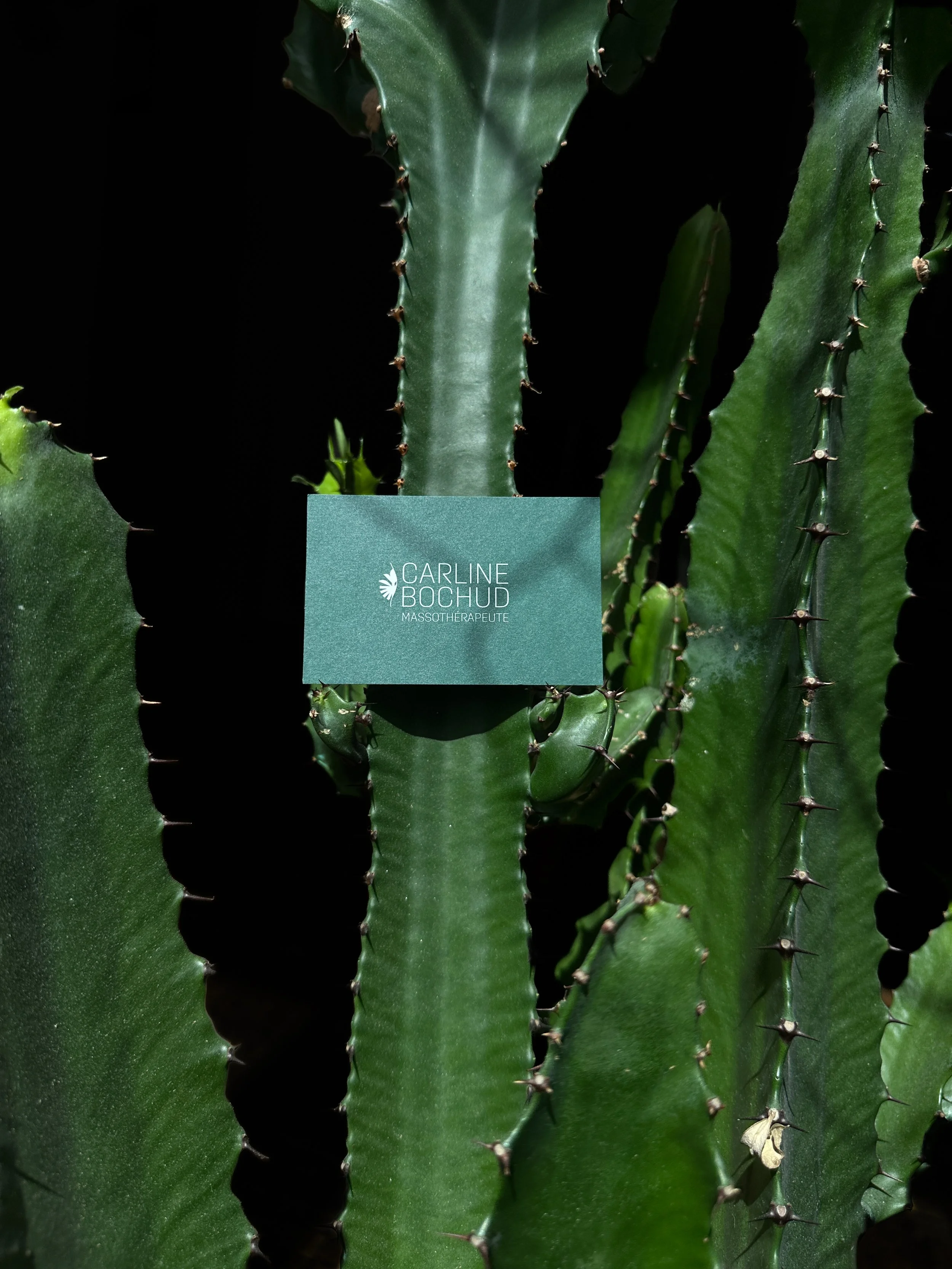 Branding