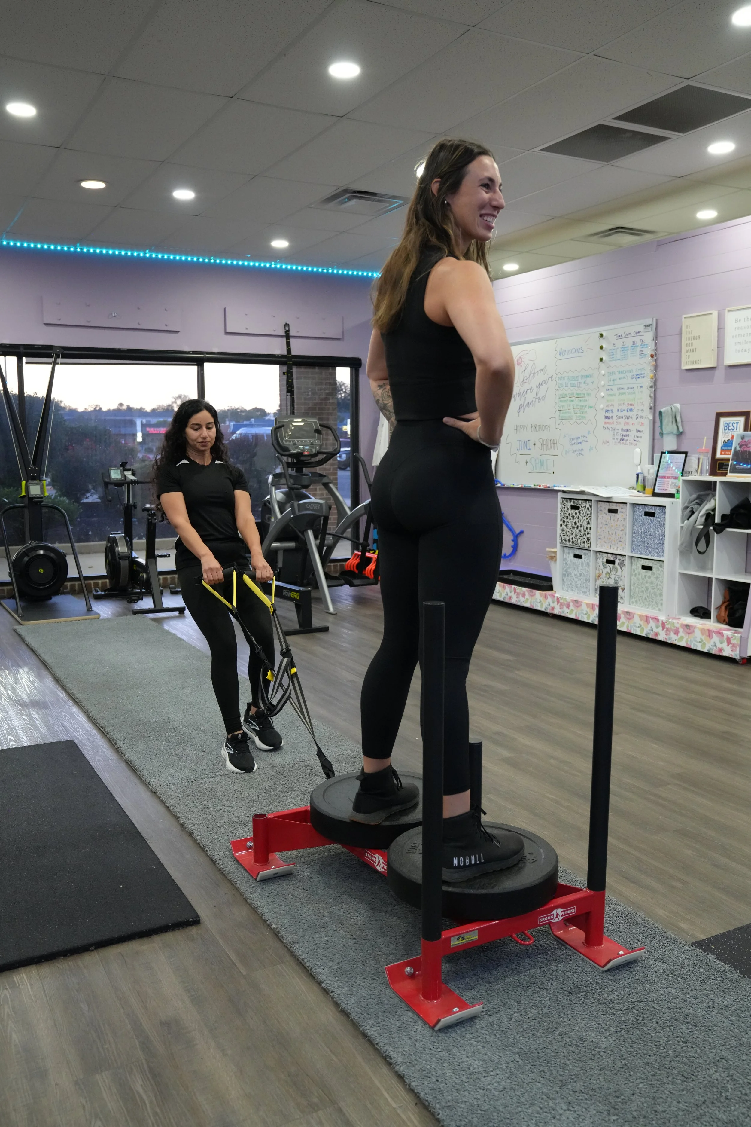 Step-up exercise demonstrating balance and joint control