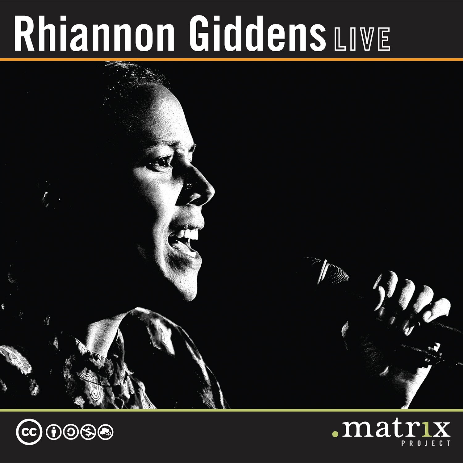 Rhiannen Giddens, live at DMP
