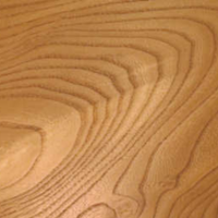 Elm