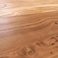 London Plane