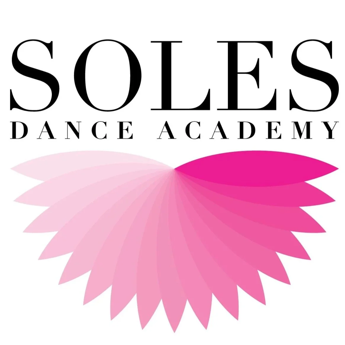 Soles Dance Academy Llc logo
