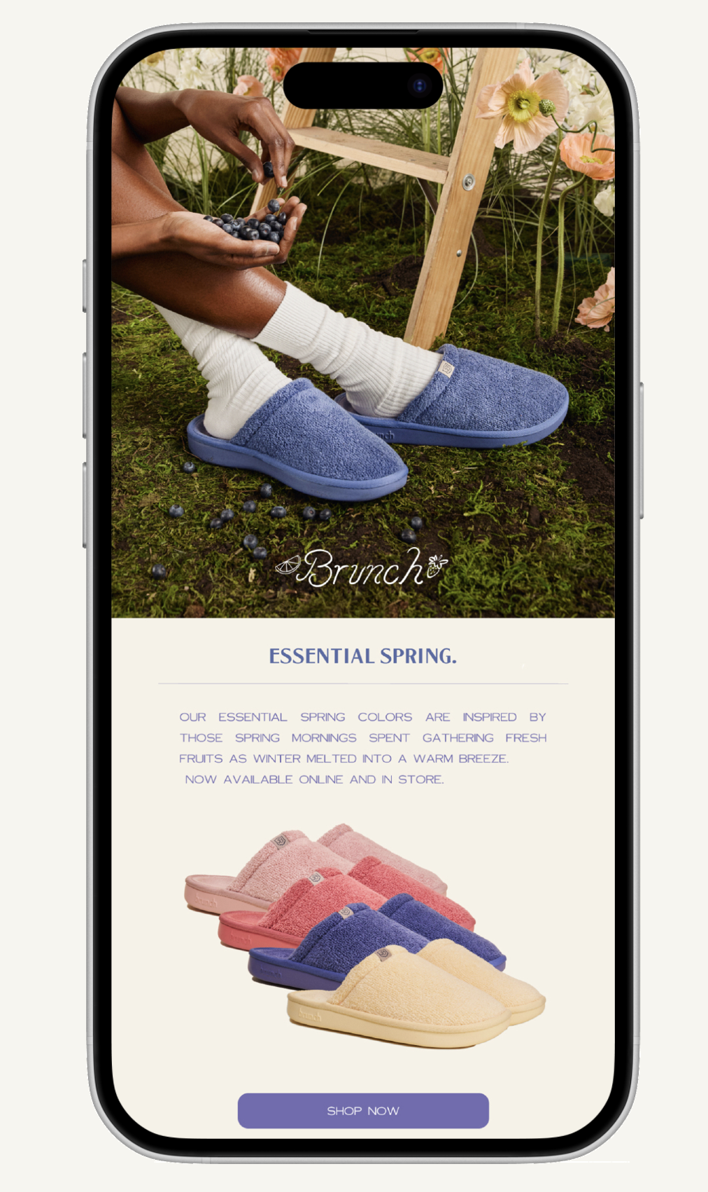 Interactive prototype