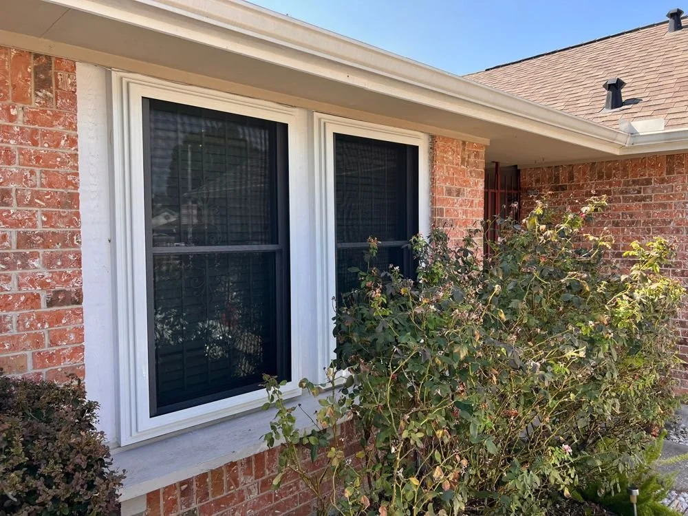 White frame window security screens
