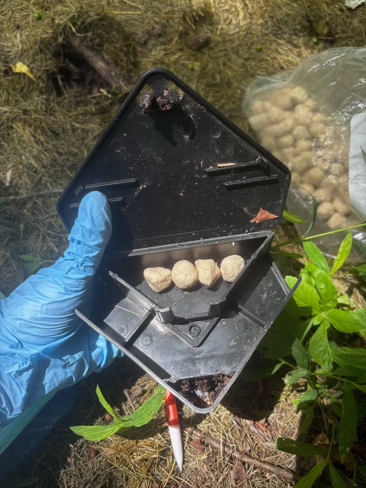 Bait box and bait used for field project evaluating fluralaner for tick management on small mammal hosts