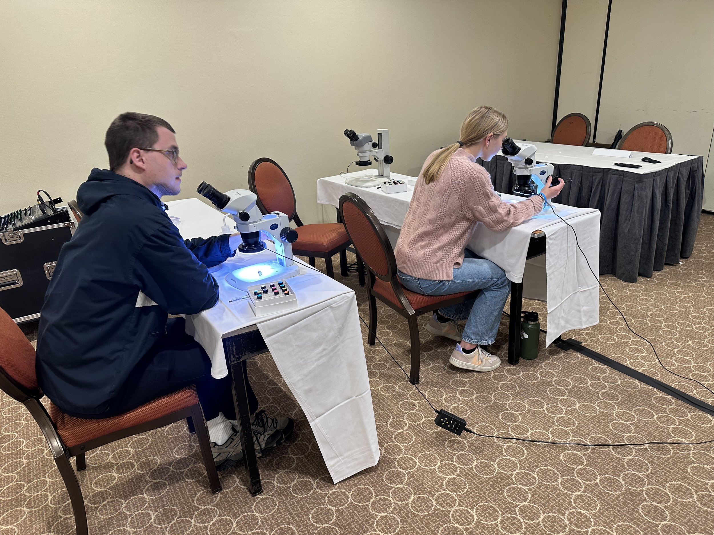 Eastern Branch ESA workshop photo