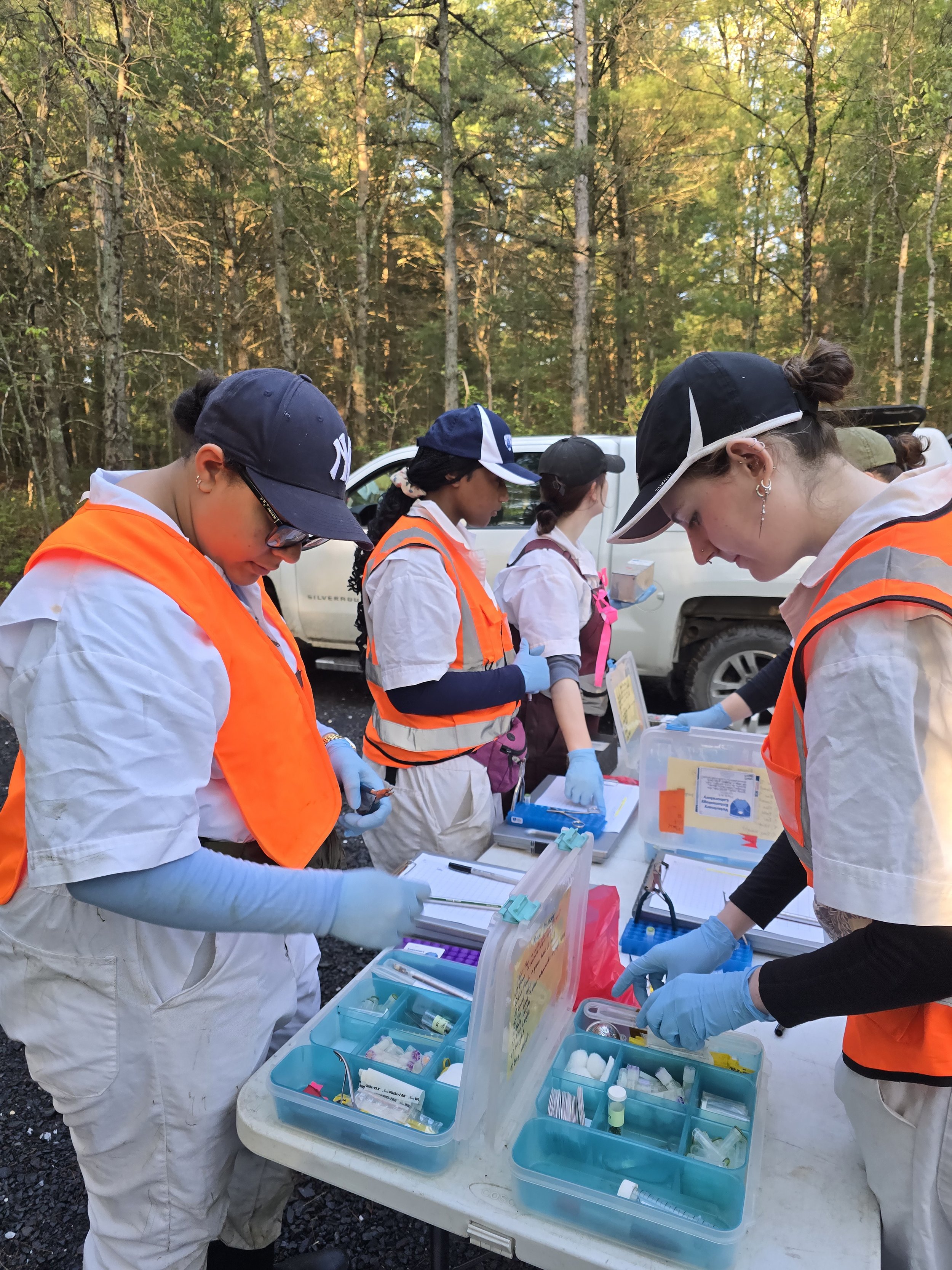 Field team members in orange safety vests working at an outdoor table