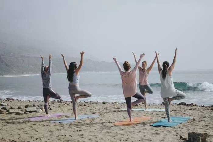 Health Fitness and Wellness