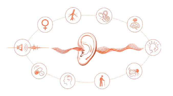 Subtle photographic graphic representing common causes of tinnitus