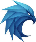 Blue Hawk
