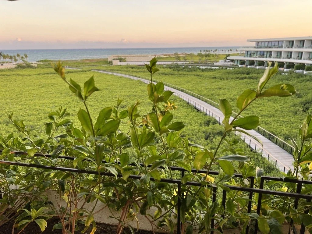 Balcony view over the mangroves and the Caribbean at The St. Regis Kanai Resort, Riviera Maya