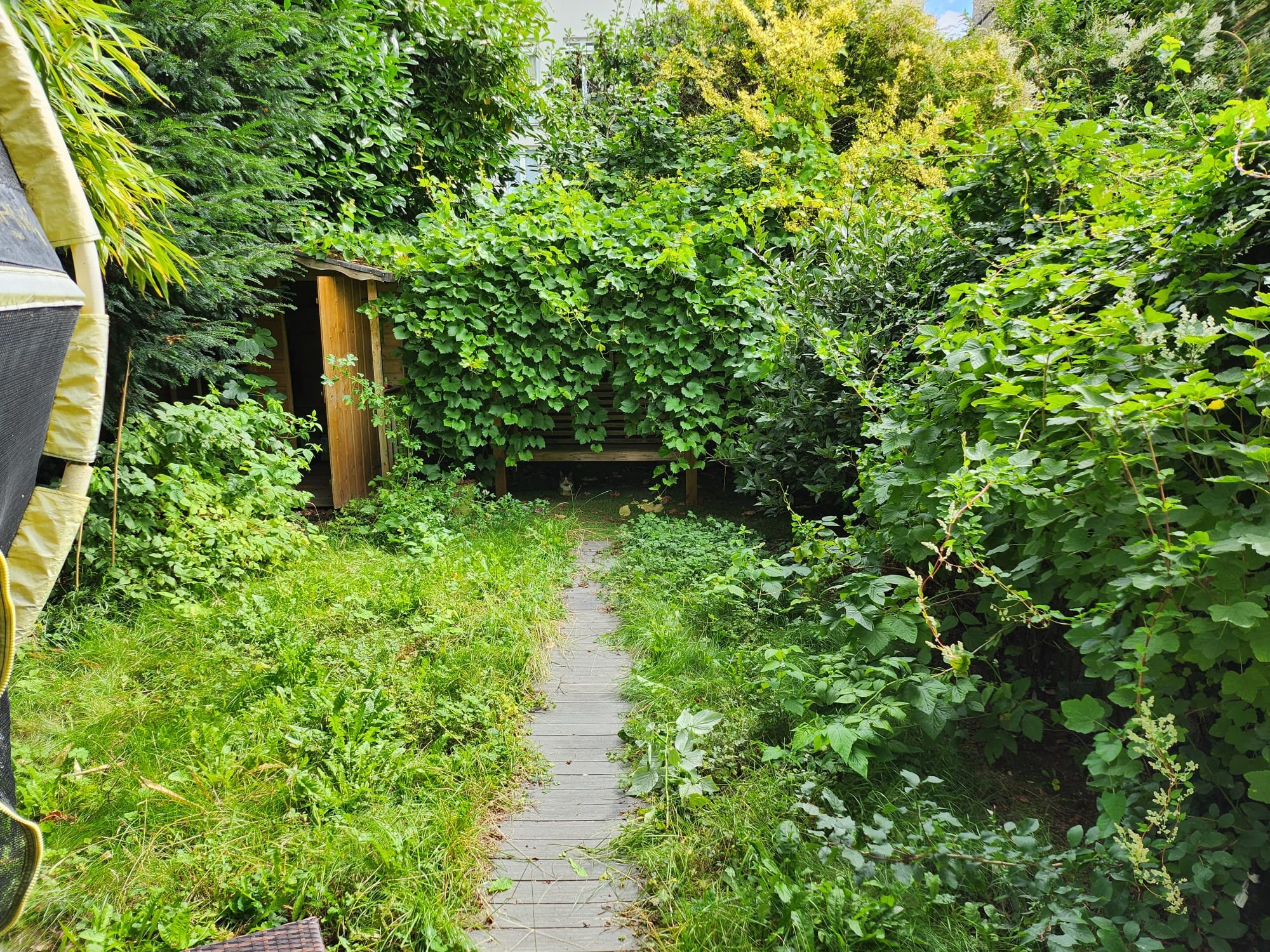 Gardening Before Image