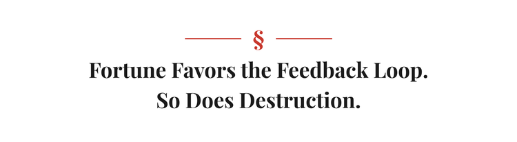 Section heading: Fortune Favors the Feedback Loop. So Does Destruction.
