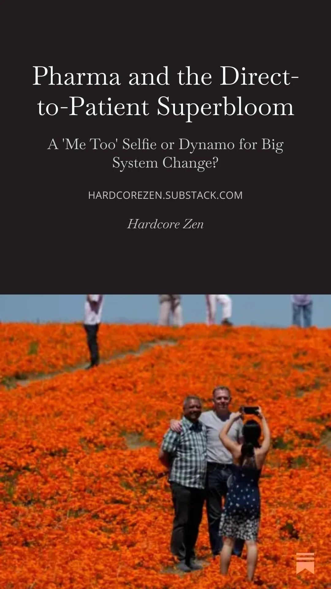 Hardcore Zen Substack