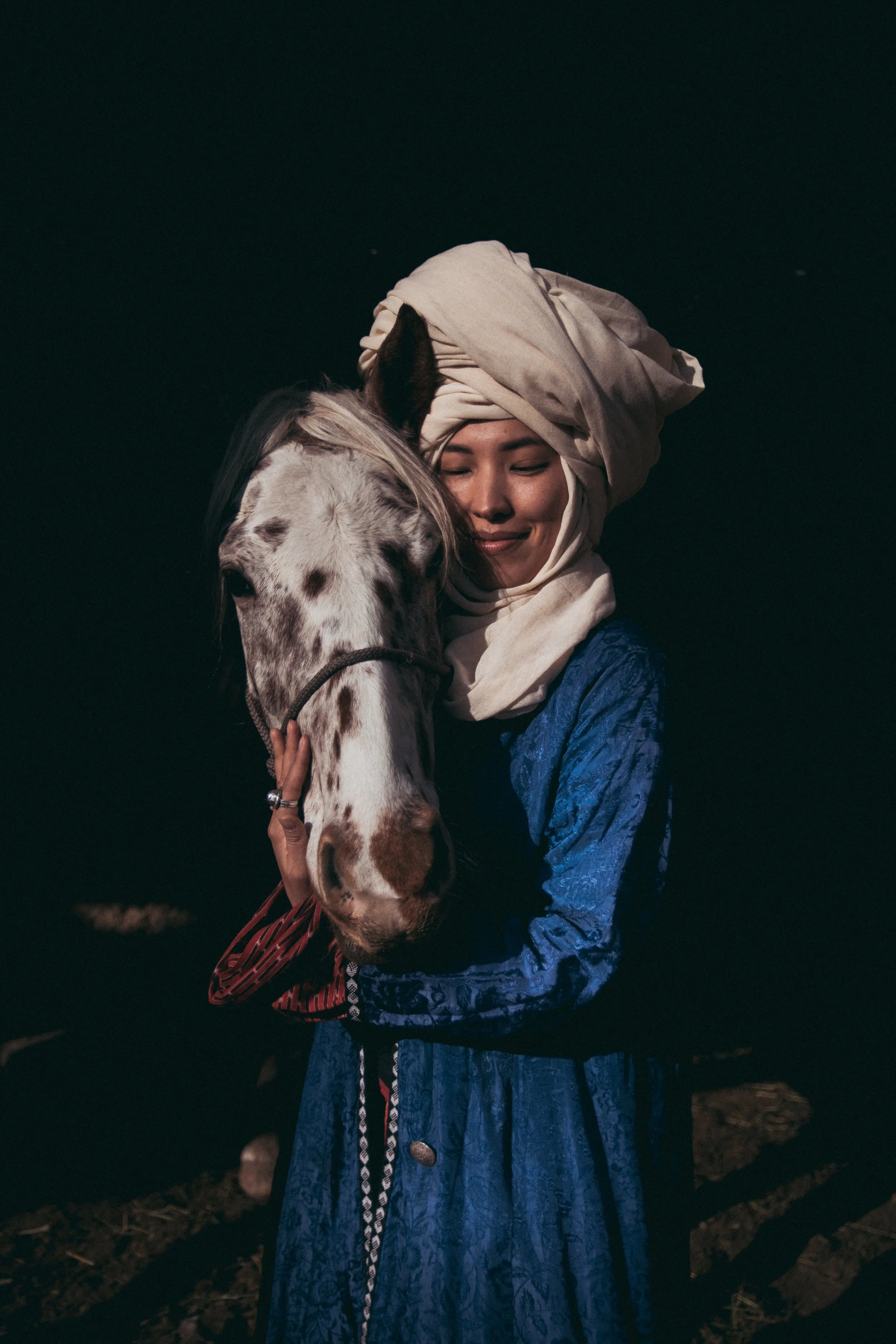 Chaar horse in traditional Kyrgyz use