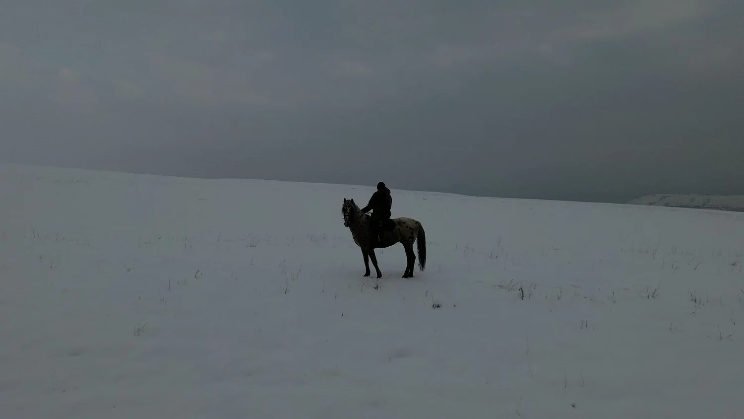 Yrys riding out across the snow near Chaar Ranch in February