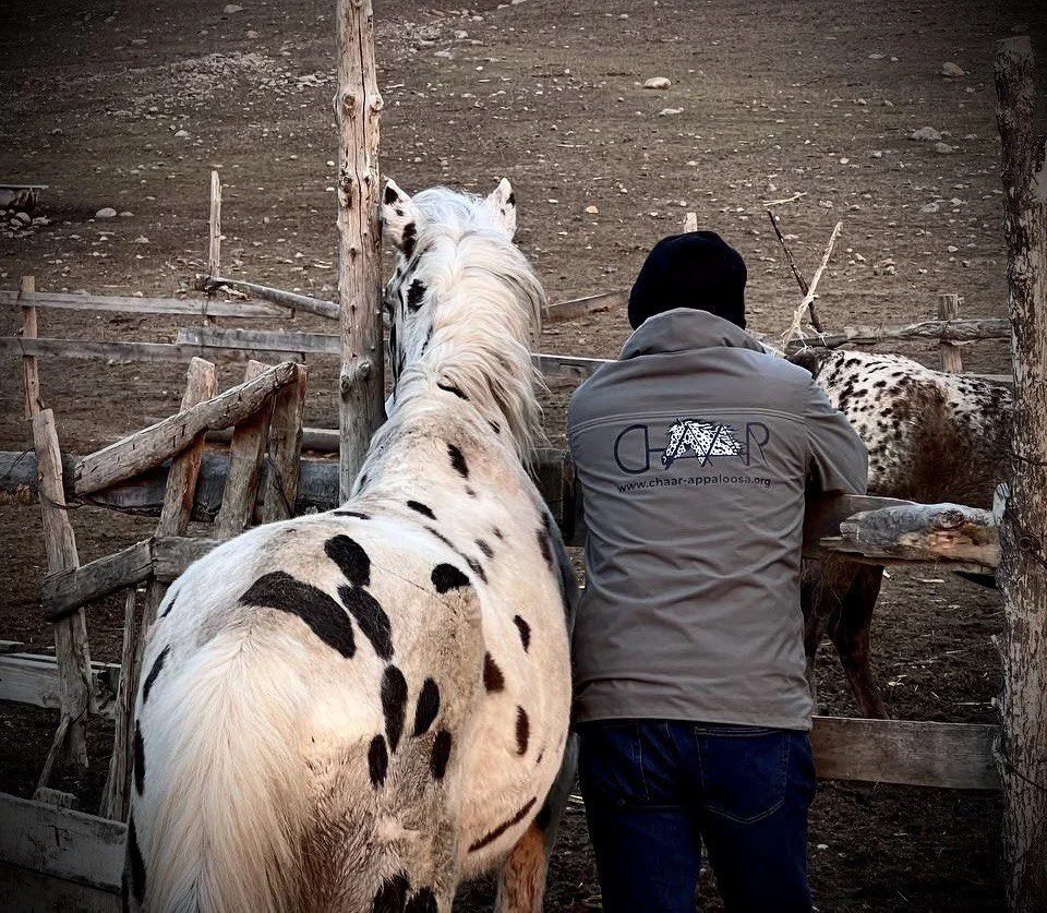Munarbek Kuldanbaev with Chaar Suluu