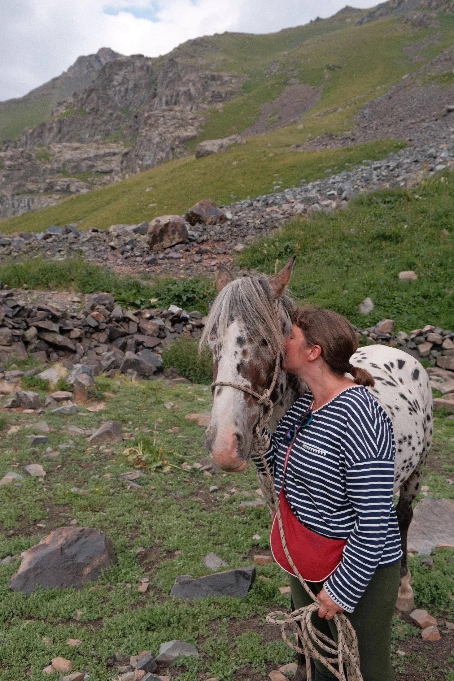 A visitor greeting a spotted stallion on the high pasture